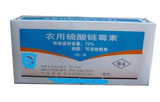 如何識別 怎么防 用什么藥 關(guān)于柑橘潰瘍病,最全知識都在這了